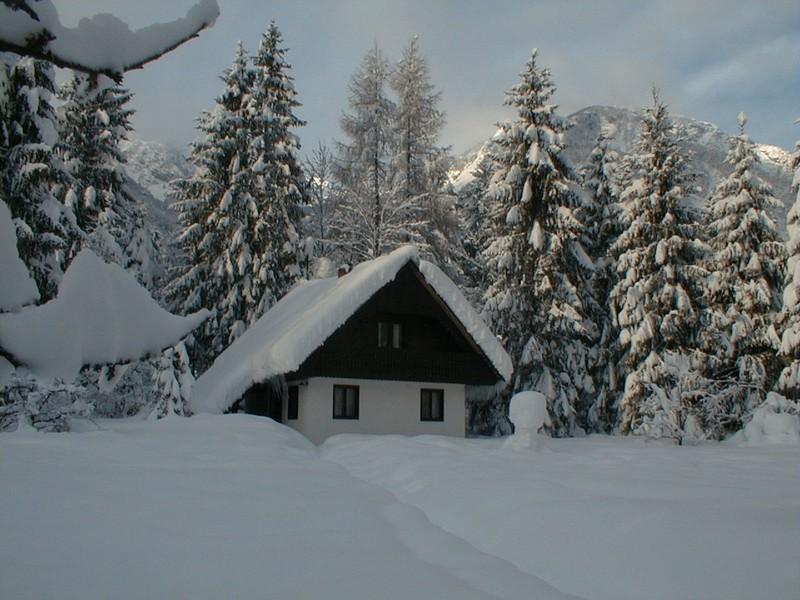Apartmaji In Sobe Bohinjsko Jezero Уканц Экстерьер фото